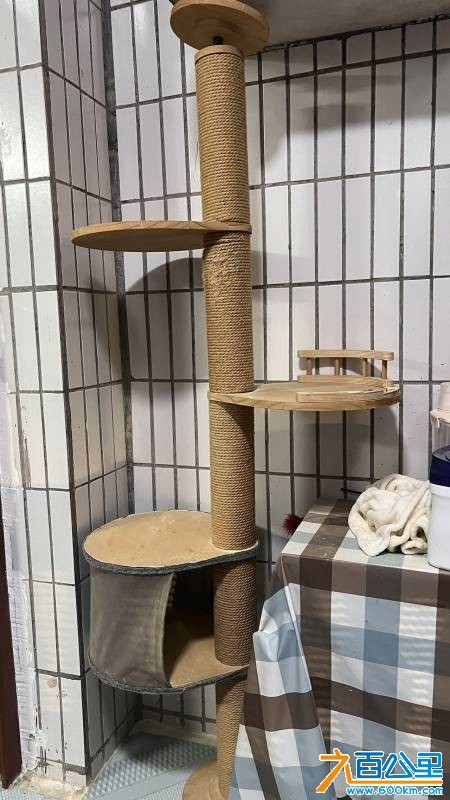 wechat_upload17663269116948027fadf75