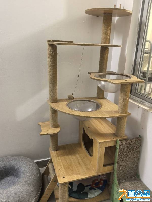 wechat_upload1766485599694a6e5fd8f5c