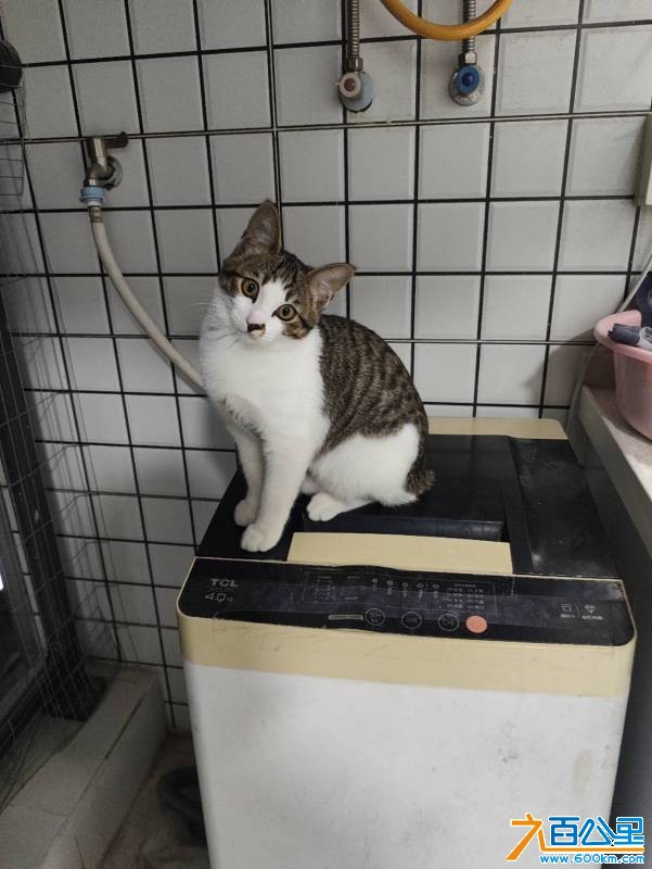 wechat_upload1766531974694b2386424e9