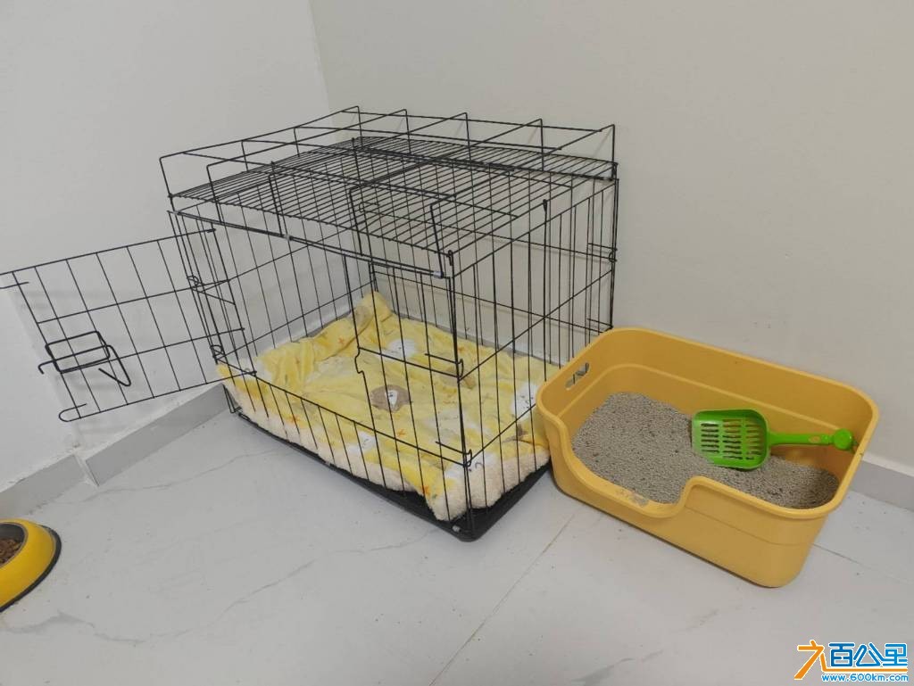 wechat_upload1766531975694b23871ca99