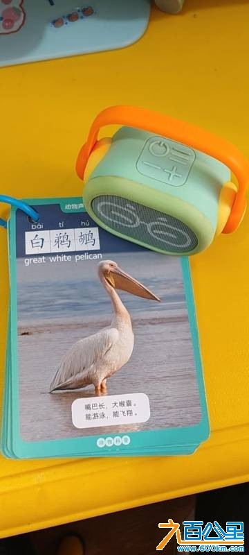 wechat_upload1766541161694b4769e6a7b