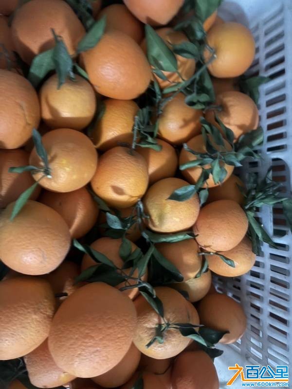 wechat_upload1766588040694bfe882fb5d