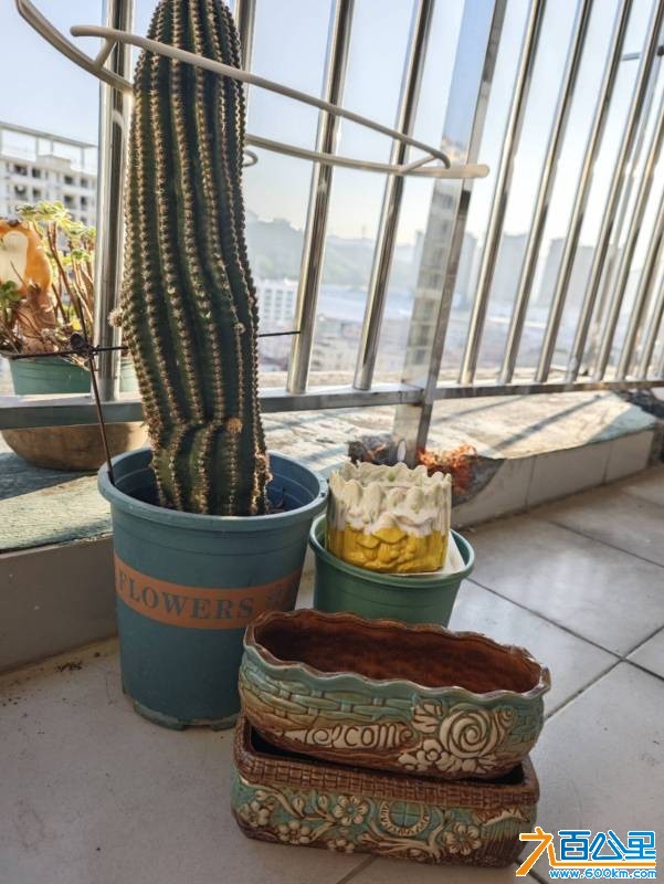 wechat_upload176803782069621dbcc27d1