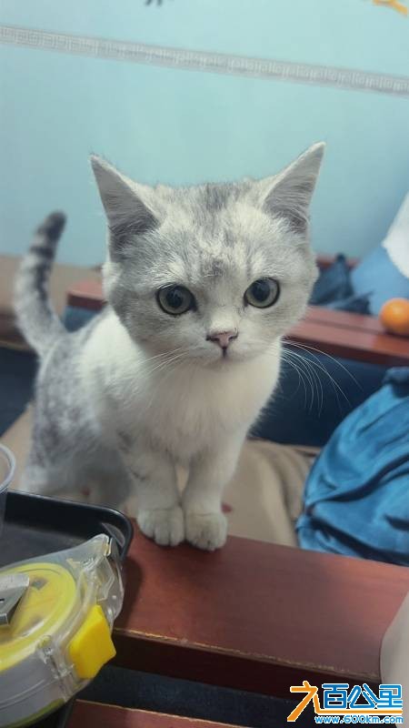 wechat_upload17683874046967734ca9e3d