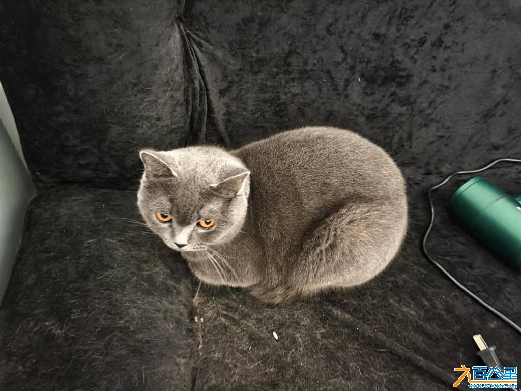 wechat_upload17690069126970e740e2e57