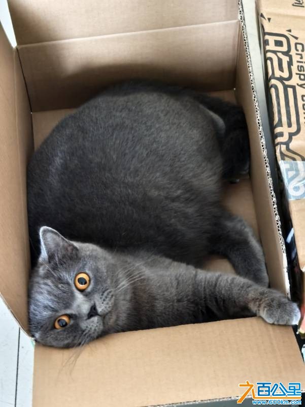 wechat_upload17690069146970e742d9d2f