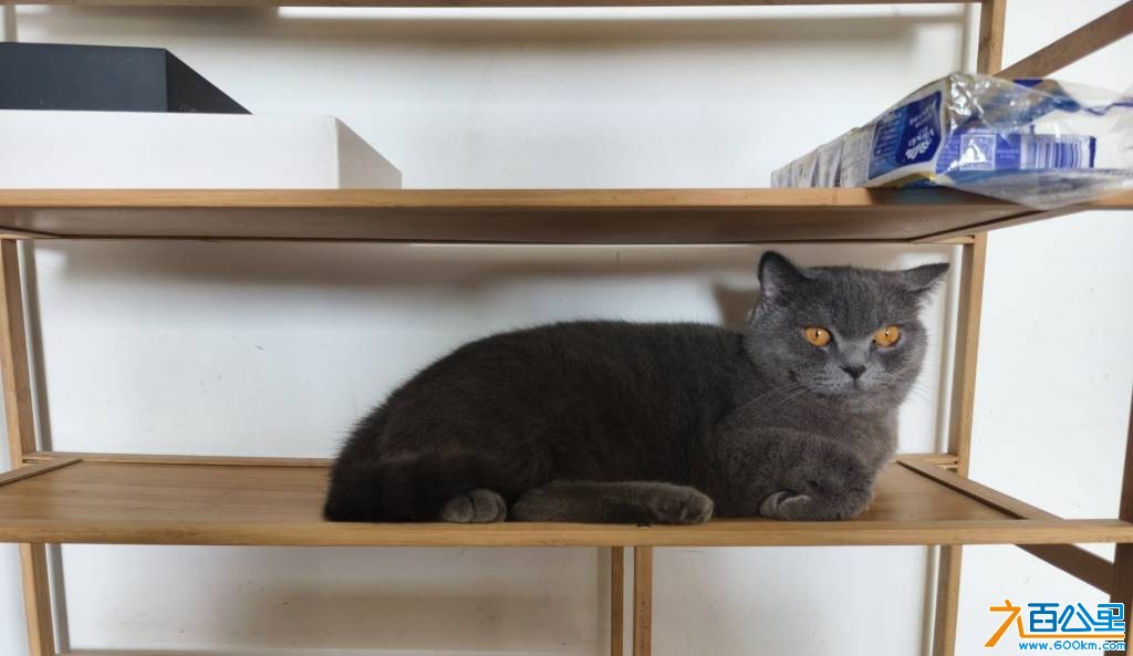 wechat_upload17690069156970e743a53ed