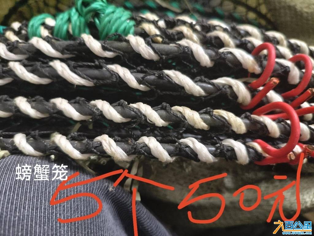 wechat_upload17693213266975b36e788b1