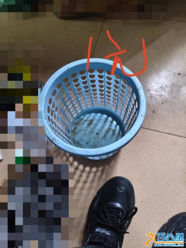 wechat_upload1769754863697c50efa5059