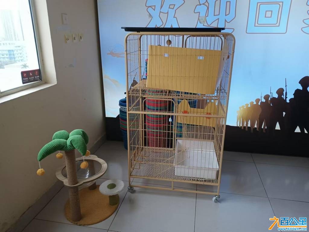 wechat_upload17705394026988498a36d70