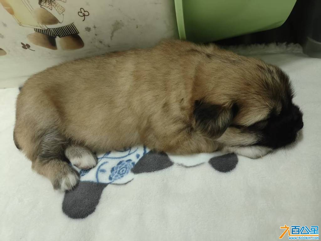 wechat_upload1771989771699e6b0b75b96